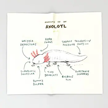 

Anatomy of an Axolotl Throw Blankets 51" x 60" Blanket Throw on Sofa Bed Plane Plaids Solid Bedspreads Home Textile