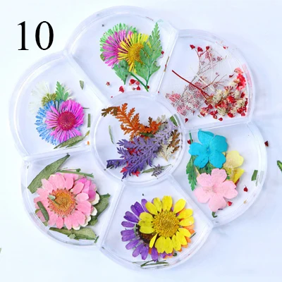 Natural Nail Dried Flowers Decoration Mix Dry Flower And Leaf Decor 3D Nail Art Designs Gypsophila Manicure Accessories - Цвет: 10