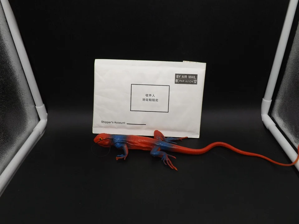 J198 (13)