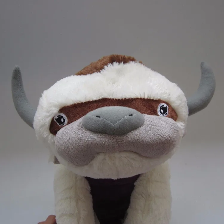 APPA01 (1)