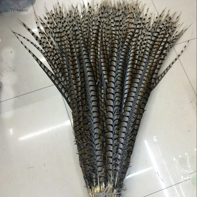 

wholesale 50pcs high quality natural Lady Amherst Pheasant Feathers 10-120cm/4-48inch Wedding Accessories Stage performance diy