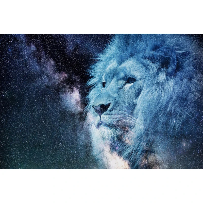 

sky lion Diamond mosaic full Square diamond embroidery DIY diamond painting cross stitch crystal round picture of rhinestones