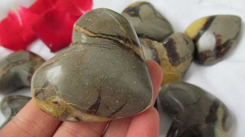 

NATURAL Dragon Septarian Fossils HEART CRYSTAL HEALING