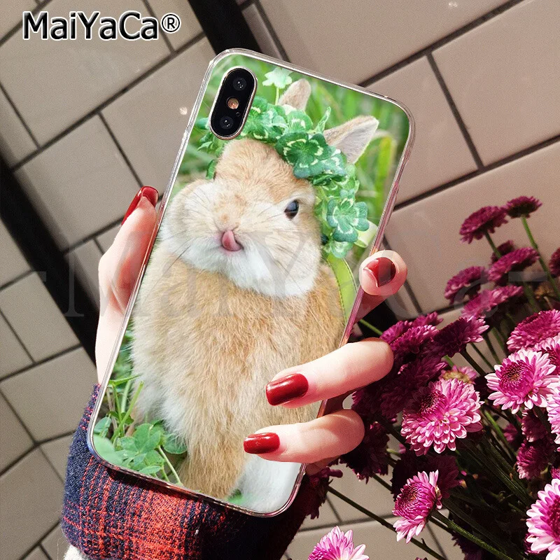 MaiYaCa, мягкий чехол для телефона из ТПУ с милым рисунком кролика, кролика, для Apple iPhone 8, 7, 6, 6S Plus, X, XS, MAX, 5, 5S, SE, XR