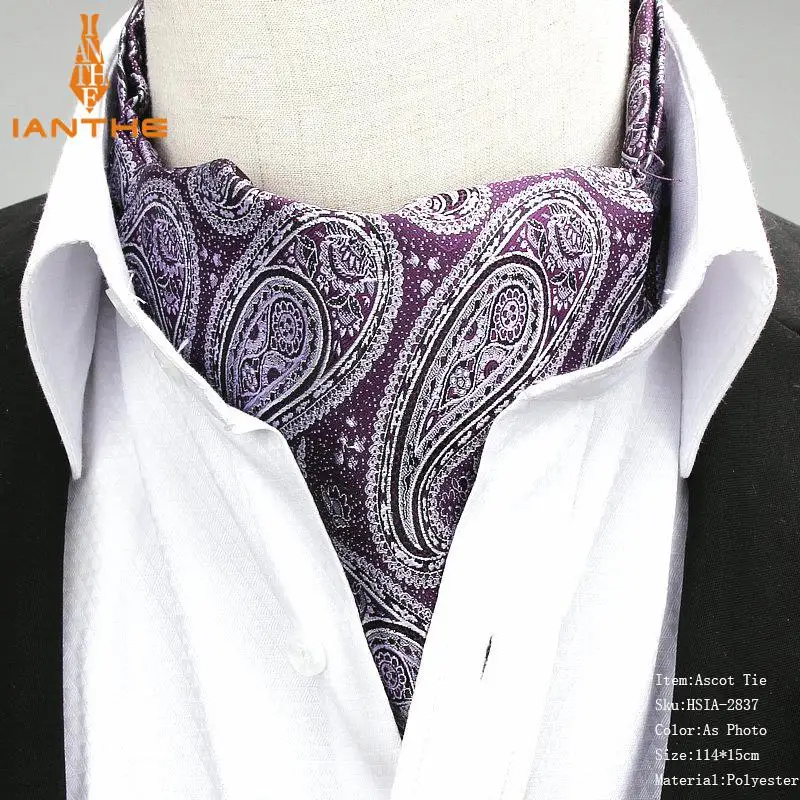 Мужской винтажный галстук с геометрическим узором пейсли для свадьбы, торжественный галстук Ascot, резинки для волос в британском стиле, мужской галстук из полиэстера и шелка, роскошный галстук - Цвет: IA2837