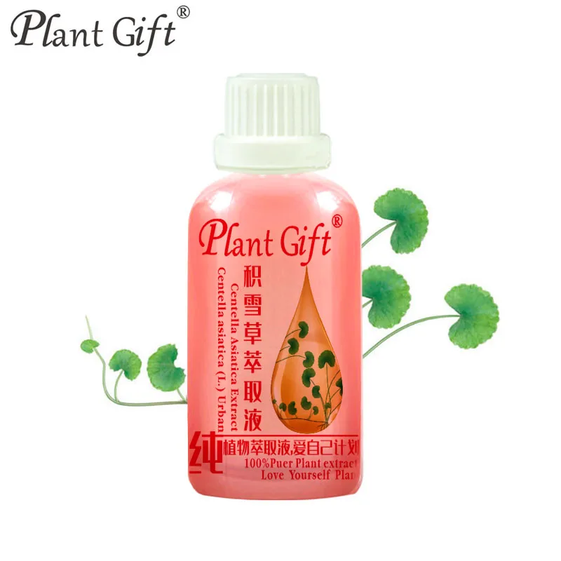 

100ML 100% Plant material extracts Centella asiatica extract repair skin care acne anti-inflammatory gotu kola