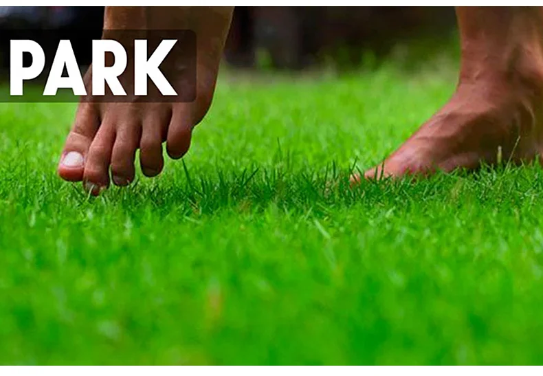 1 (10)Beach Sock Stickers Shoes Waterproof Skid Resistance Silicone Rubber Beach Grassland Invisible Sole Adhesive Aqua Shoe Pads