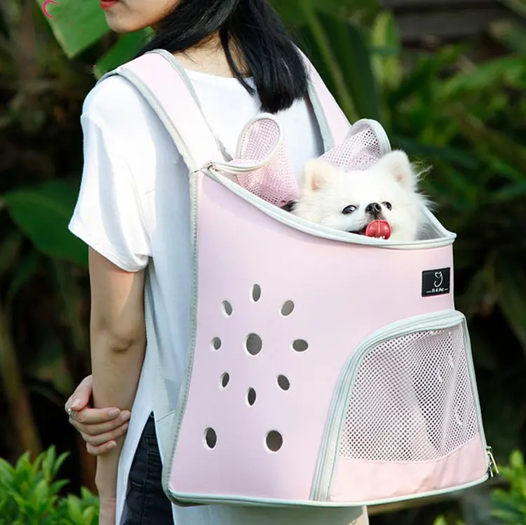 

Pet Carrier Shoulders Dog Cat Travel Bag Mesh Backpack Head out Design Travel Adjustable Shoulder Strap Pink Blue