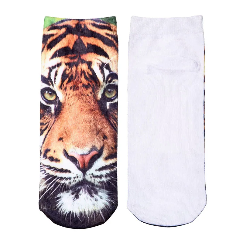 HTB12ExrOXXXXXb6apXXq6xXFXXXa