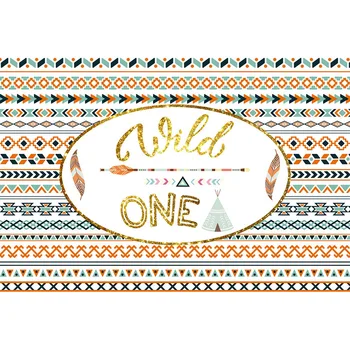 

Vinyl newborn children wild one baby shower Photography Backdrops birthday Party Photo Background for photo studio g-713