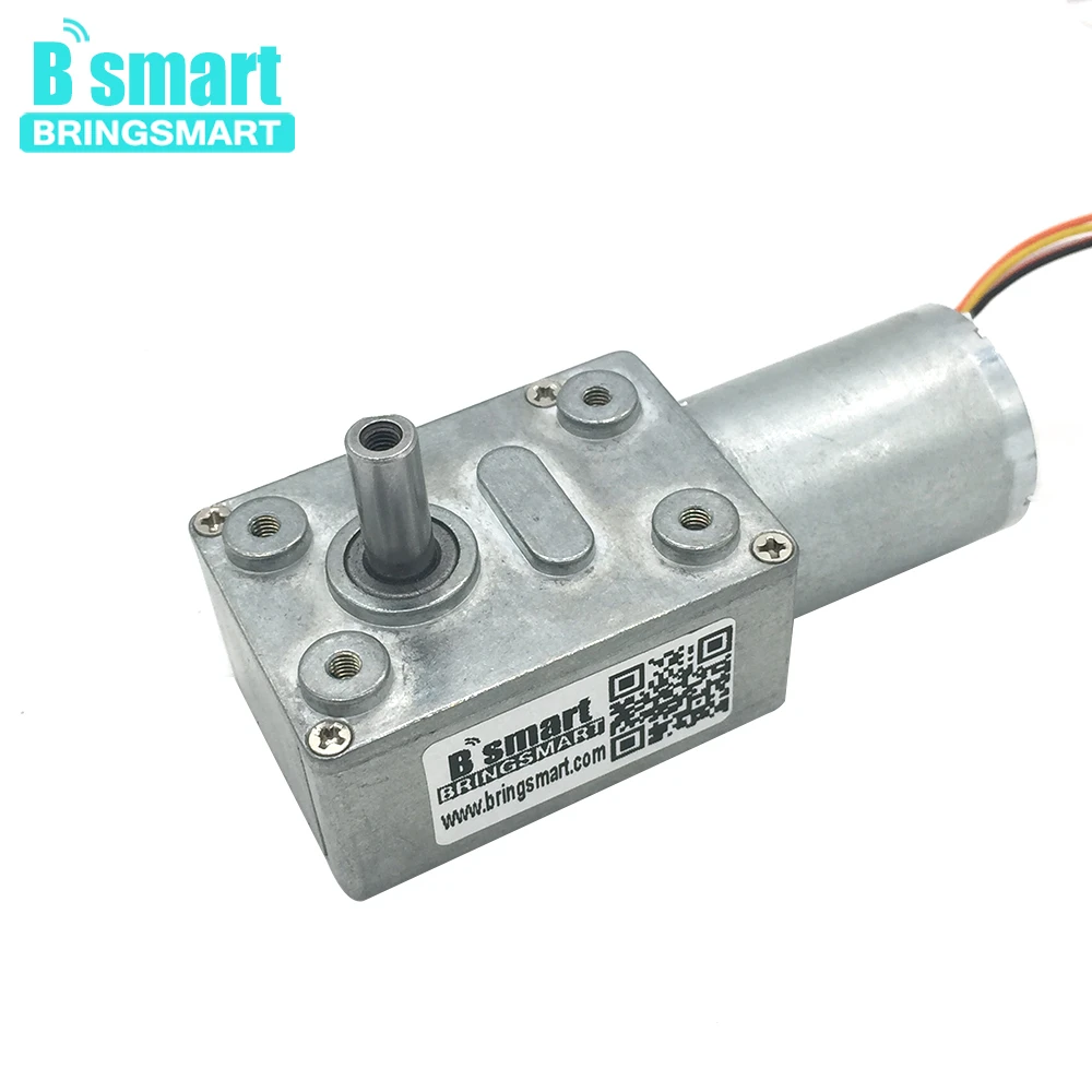 

Bringsmart DC Gear Motor Brushless 12 Volt 24V Self-locking Reversible with Brake Speed Measuring Worm Motor Gearbox JGY-2430