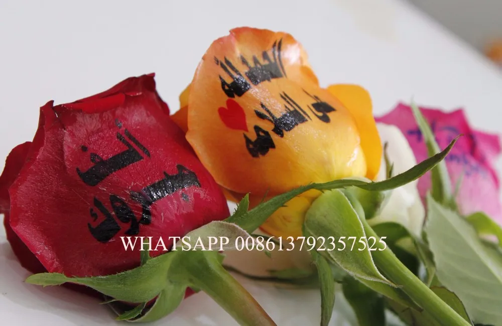 nail printer (47)