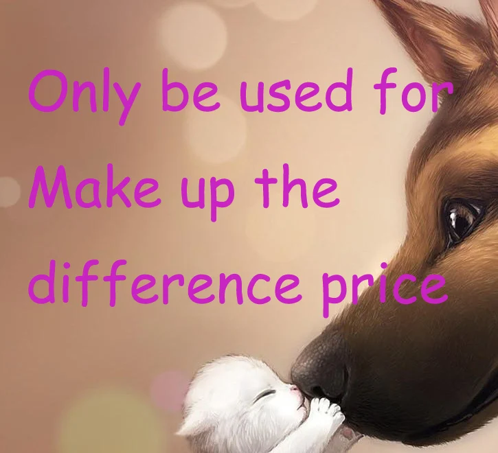 

only be used for make up the price difference 0.1USD/piece ( example: need 1USD , then order 10 pieces)