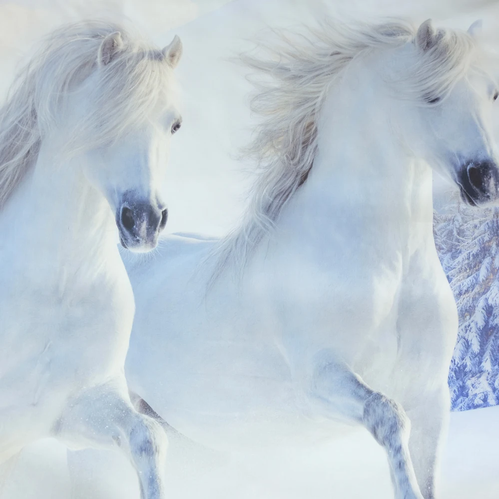 Beautiful White Horse Long Mane Galloping Winter Snowy