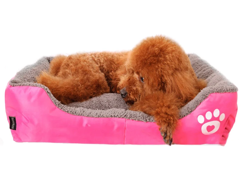 5bfa48183bdc54bfa14e56c3a42fadac_HTB1yTawQXXXXXcFXFXXq6xXFXXXS_size=195493&height=556&width=800&hash=970f1eafcea425e9aa9a833b8c79a386