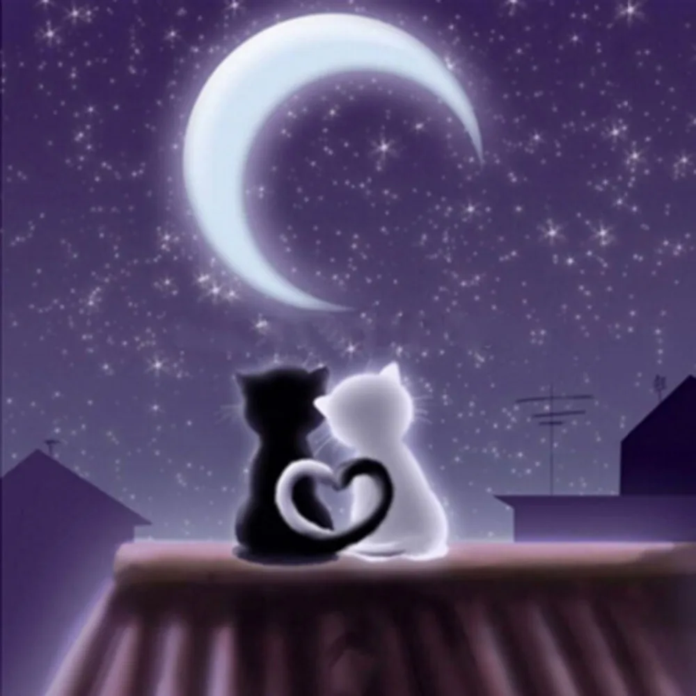 

Full Square/Round Drill 5D DIY Diamond Painting "Cat moon" Embroidery Cross Stitch Mosaic Home Decor