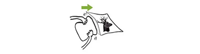 Cushion cover03