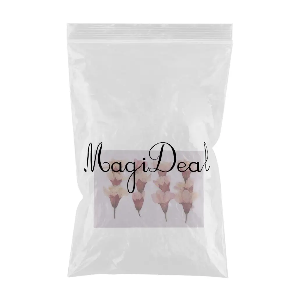 MagiDeal 12x Pressed Real Sakura Flower Dried Flowers DIY Phone Case Scrapbook Crafts for Making Greeting Card Craft Accessories