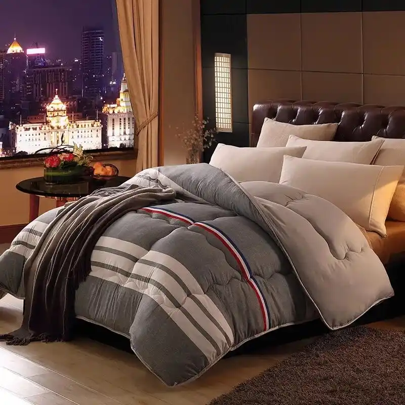 Luxury Down Comforter Core Feather Blanket Twin King Size Quilts