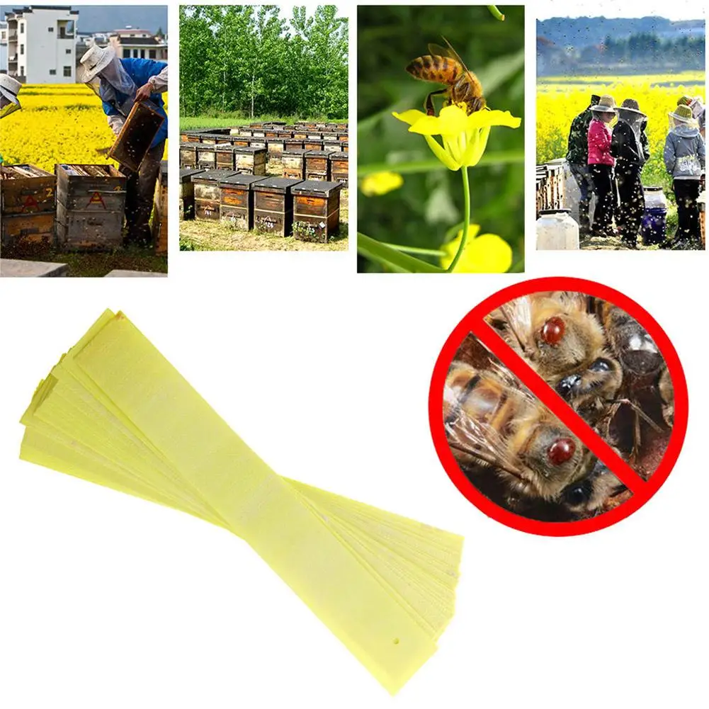 Professional Acaricide Against The Bee Mite Strip Beekeeping Medicine Bee Varroa Mite Killer& Control Beekeeping Farm Medicines