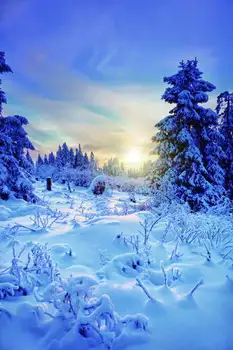 

Customize washable wrinkle free sunny snow forest scenic photography backdrops for kids photo studio portrait backgrounds HG-204