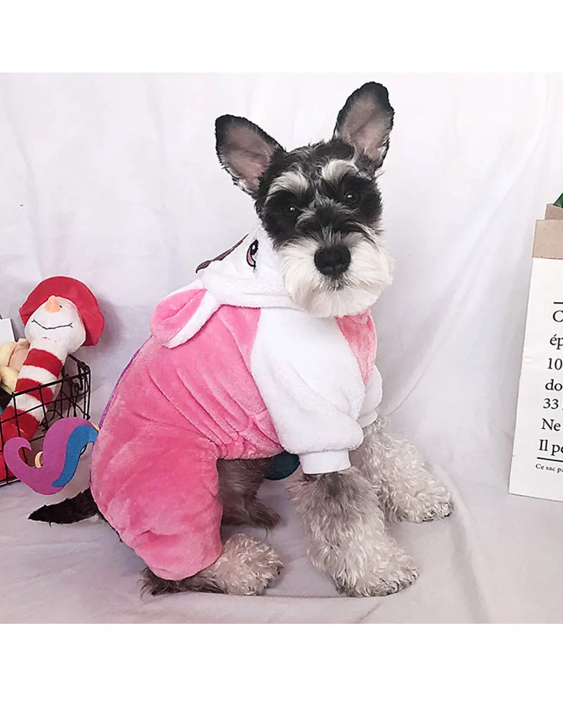 small dog jackets winter