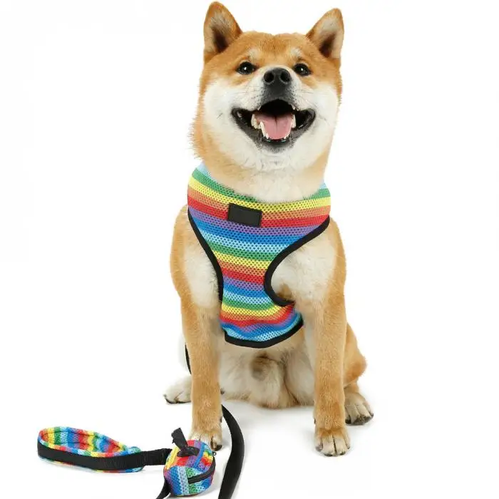 Одежда для собак Воздухопроницаемый жгут Радужный щенок прогулочный жилет шлейка с поводком XH8Z