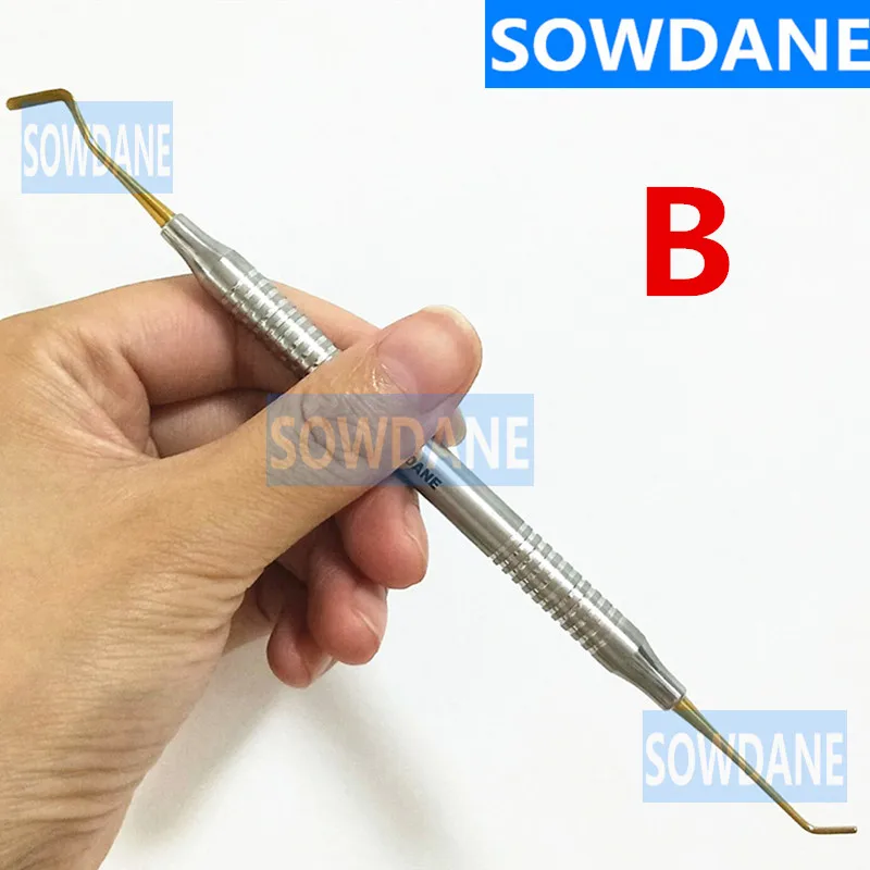 B