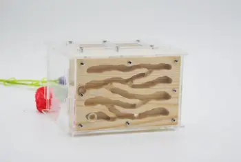 

15x14x10cm Woodem Ant Nest Ants Farm Home Castle Acrylic Ant Workshop Granja de hormigas nid fourmis Villa Pet Mania for House