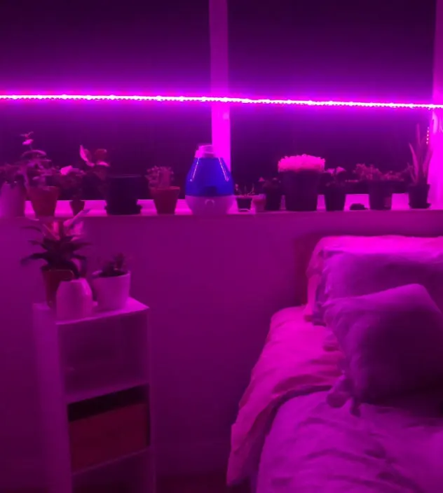 fuwangjituan+99757125739046