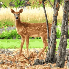 Безрамная картина по номерам краска по номеру для домашнего декора ПБН для гостиной 4050 олень