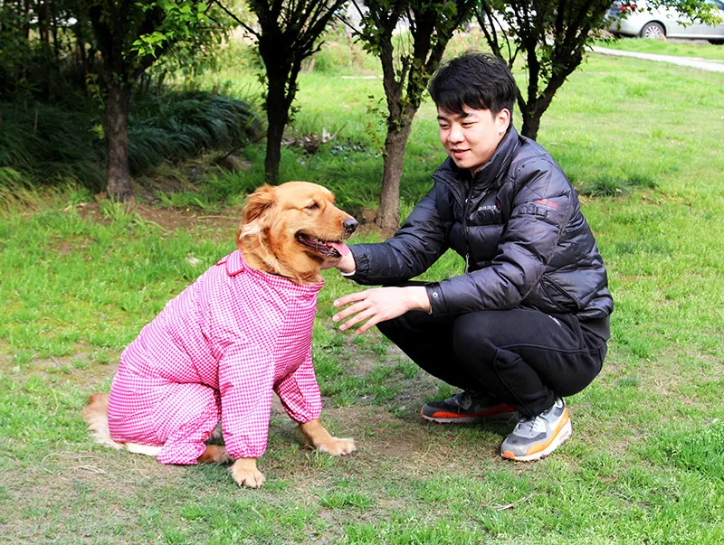 pet 21