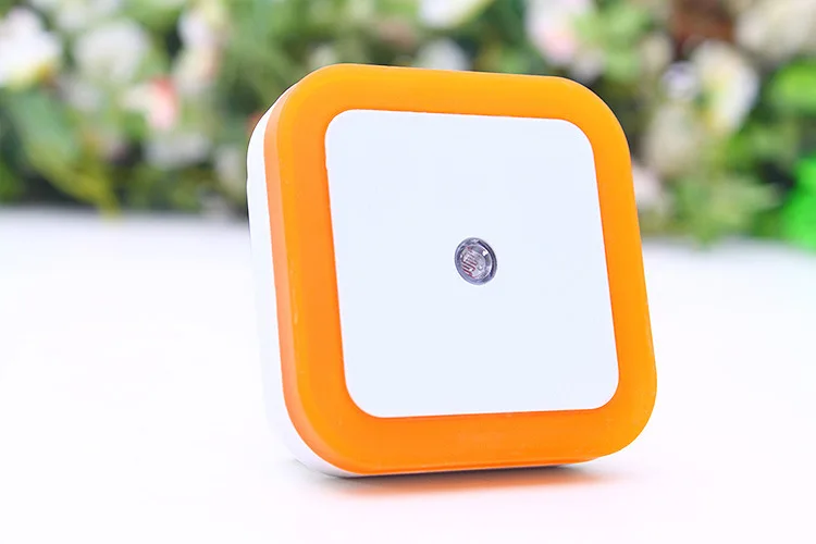 3180682450_1894273605