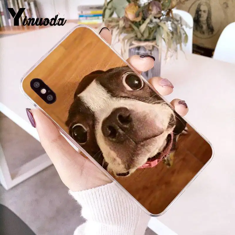 Чехол Yinuoda для iPhone 7 Boston Terrier прозрачный чехол 8 6 6splus X 10 5 5S SE XR XS XSMAX|Бамперы| |