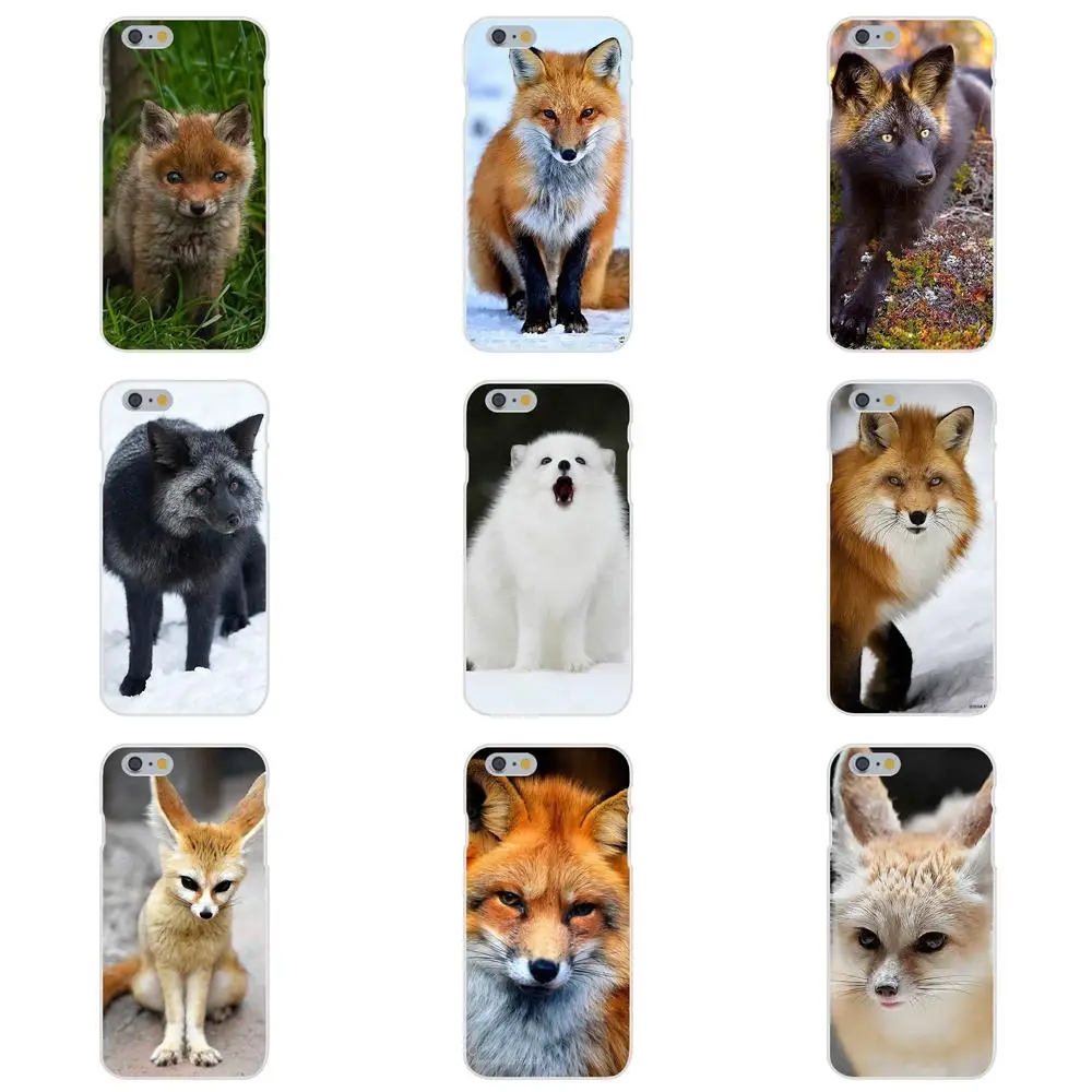 Мягкие защитные чехлы из ТПУ для Apple iPhone X XS Max XR 4 4S 5 5C 5S SE 6 6S 7 8 Plus Animal Fox | Мобильные