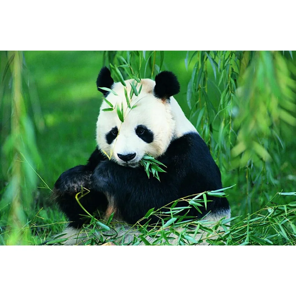 

Diamond decoration 5d diamond painting cross stitch Lovely panda diamond rhinestone pasted painting marriage embroidery