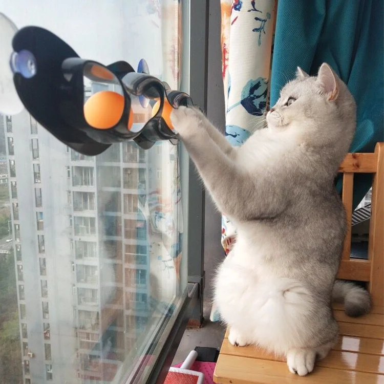 

15% Interactive Cat Toy with Sucking Disks Attachable to Windows & Smooth Surface Track & Ball Game for Kitten Exercise Play Fun