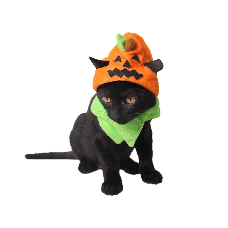Кошка Orange Короткие Плюшевые Hat супер мягкие и теплые