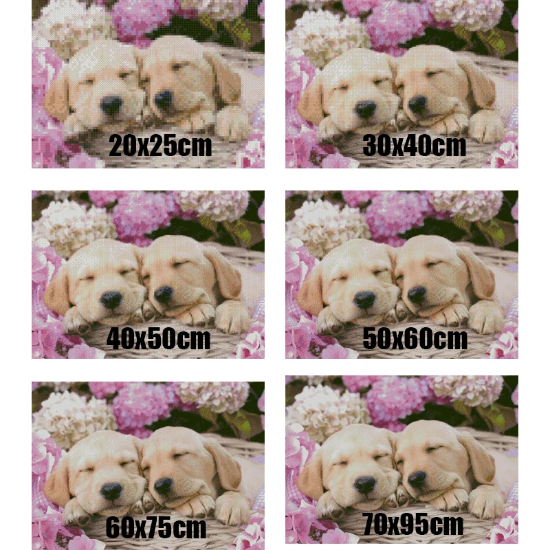 QQ20180414181409