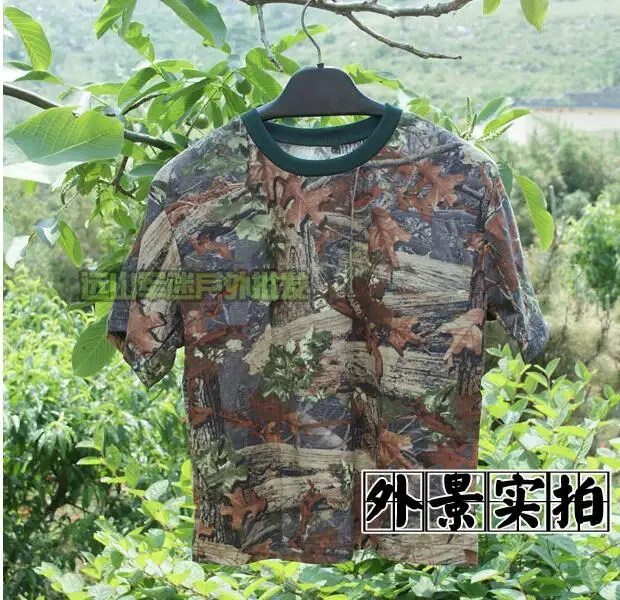 QQ20170728090055
