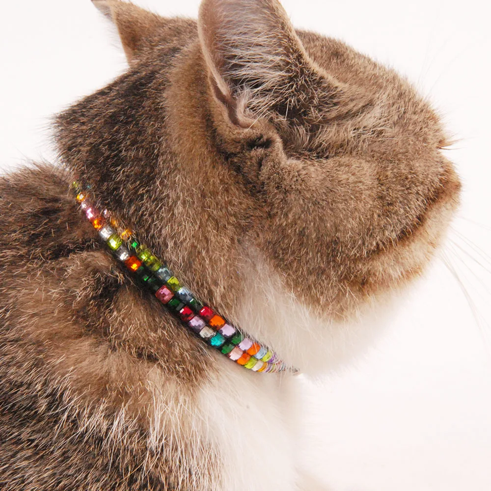 Cat-Small-Collar-with-Bell-for-Dogs-and-Cats-Dogs-Accessories-Cute-Collars-Puppy-Collar-for (2)