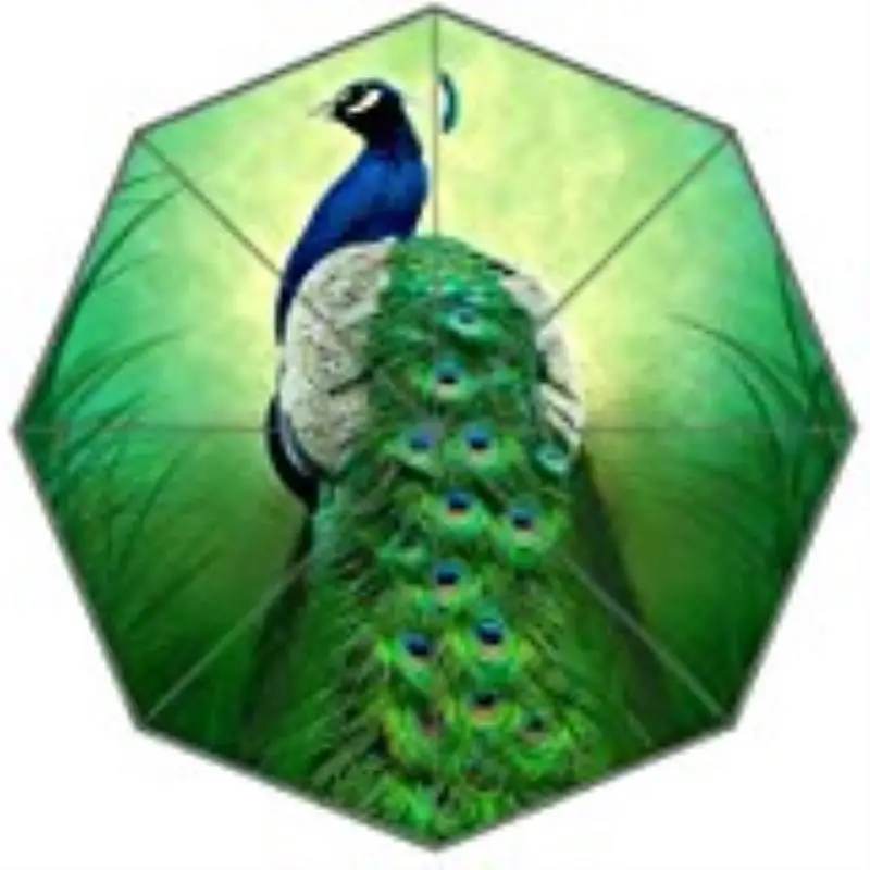 Custom Peacock Feathers Foldable Rain Umbrella Wind Resistant Windproof