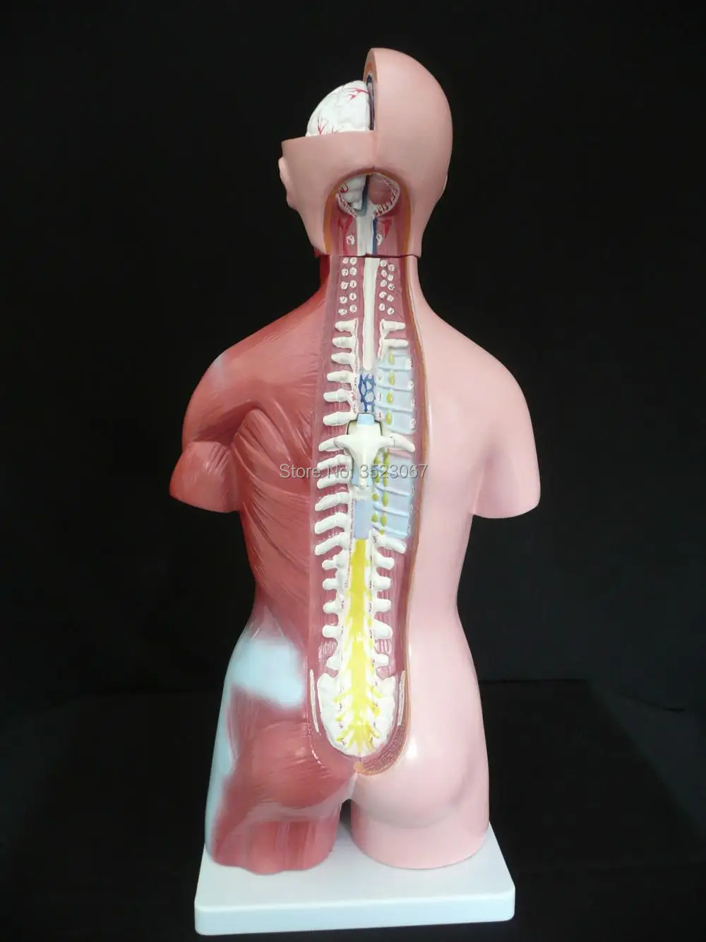 45cm2
