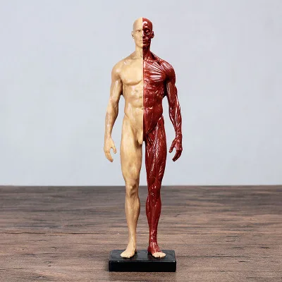 TB2yb8DdxPI8KJjSspfXXcCFXXa_!!3325464892.jpg_400x400