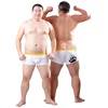 2017 New Arrival Bear Claw Men's Plus Size Boxers Bear Paw Underwear Designed For Gay Bear 6 Colours Free Shipping! M L XL XXL 1
