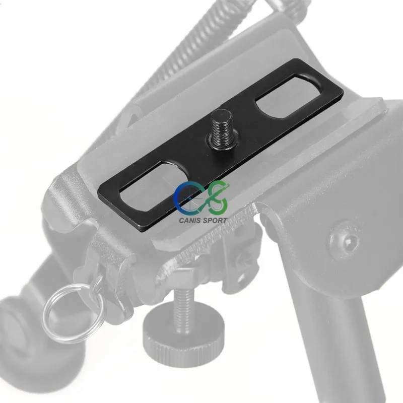CL33-0207_4