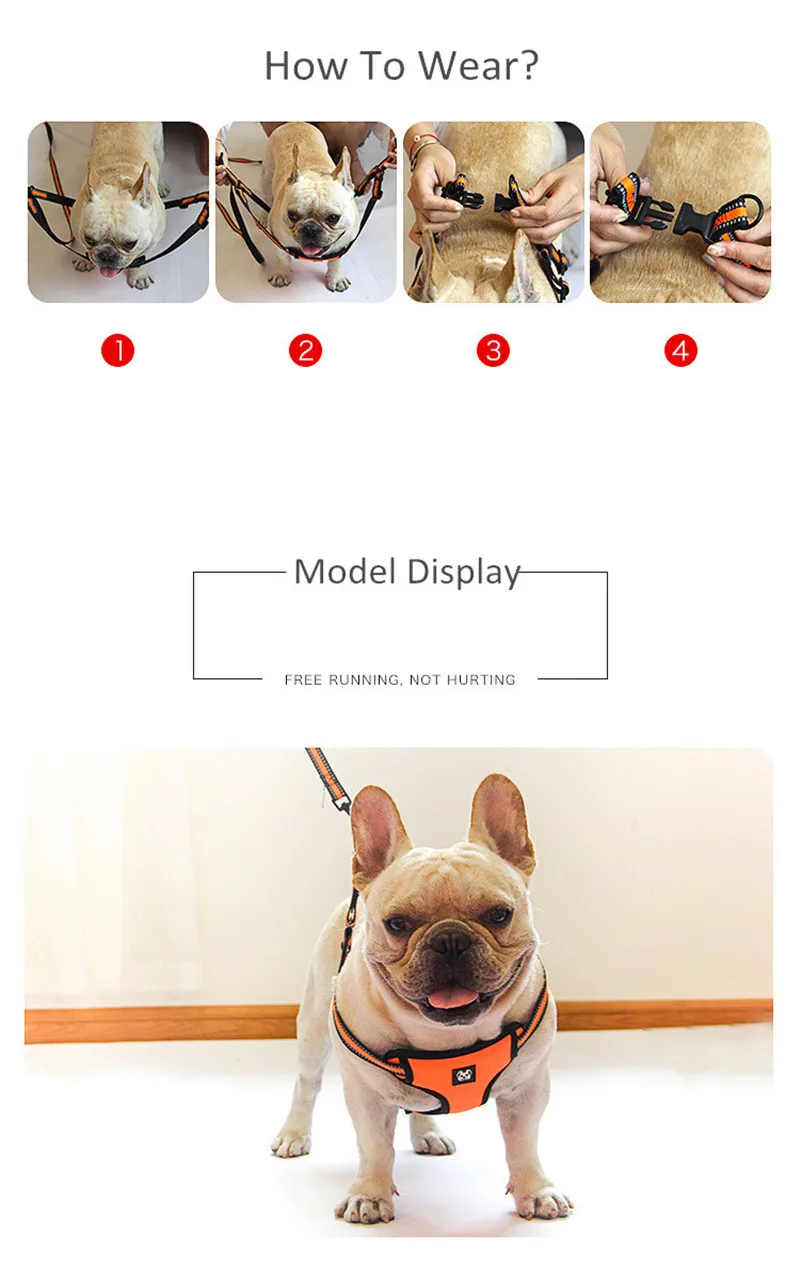 Dog Harness and Leash Set  (8)