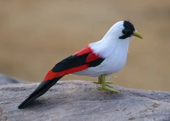 

artificial bird foam&feathers bird small 14cm,home garden decoration gift p2501