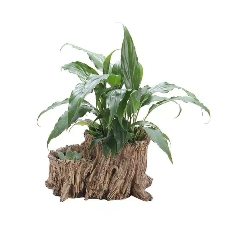 Bestoyard Diy Simulation Tree Root Succulent Plant Pot Garden