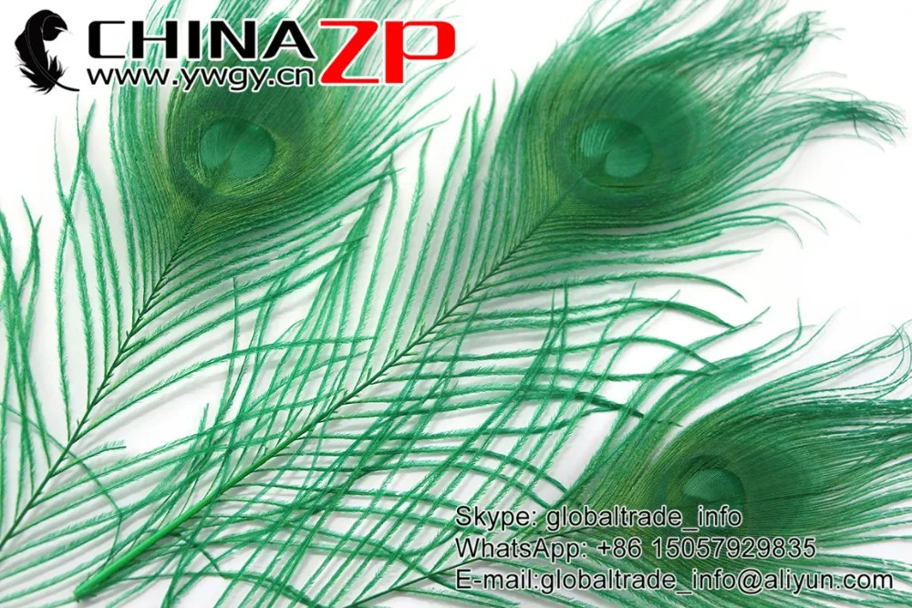 Kelly Green Peacock Feathers (8)